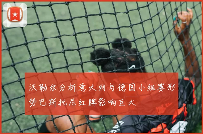 沃勒尔分析意大利与德国小组赛形势巴斯托尼红牌影响巨大